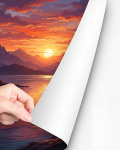 Collection image for: Adhesive Vinyl