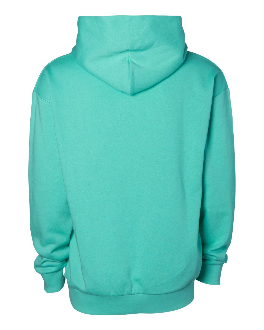 Premium Hoodie — Seafoam — back garment preview