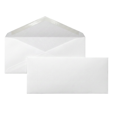 Blank Envelopes 4.125 x 9.5